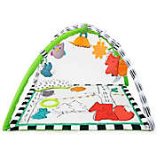 Sassy&reg; Gone Campin&rsquo; Baby Play Gym Set