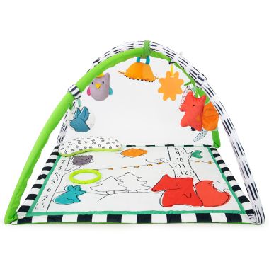 Sassy&reg; Gone Campin&rsquo; Baby Play Gym Set. View a larger version of this product image.