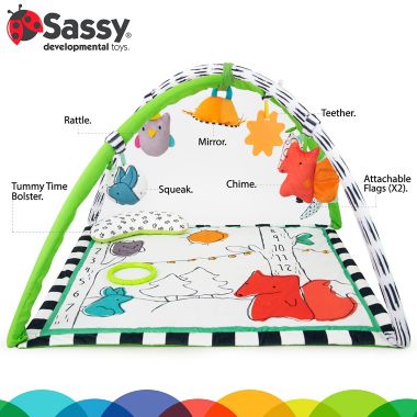 Sassy&reg; Gone Campin&rsquo; Baby Play Gym Set. View a larger version of this product image.