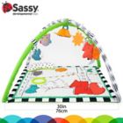 Alternate image 3 for Sassy&reg; Gone Campin&rsquo; Baby Play Gym Set