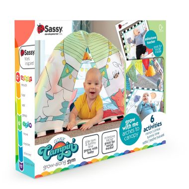 Sassy&reg; Gone Campin&rsquo; Baby Play Gym Set. View a larger version of this product image.