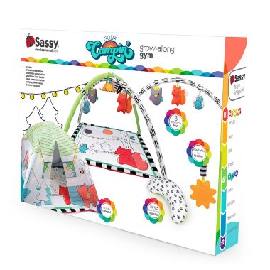 Sassy&reg; Gone Campin&rsquo; Baby Play Gym Set. View a larger version of this product image.