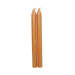 Bee & Willow™ Harvest Tapered Candles (Set of 2)