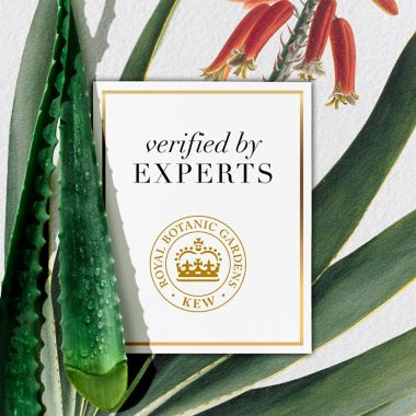 Herbal Essences Birch Bark Extract 13.5 oz. Shampoo. View a larger version of this product image.