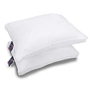Beauty Sleep 320-Thread-Count Premium 2-Pack Pillows