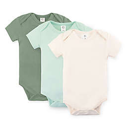 Colored Organic 3-Pack Organic Cotton Short Sleeve Bodysuits in Thyme