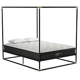Cosmo Living Celeste Queen Metal Canopy Bed in Black/Gold