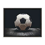 DesignOvation Sylvie Vintage Soccer Ball 24-Inch x 18-Inch Framed Canvas Wall Art