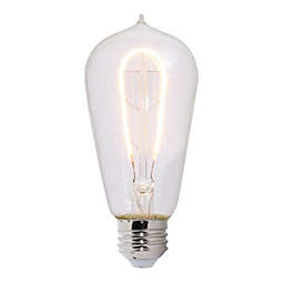 Bulbrite 2-Pack 4-Watt ST18 LED Light Bulbs