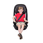 Alternate image 7 for Safety 1ˢᵗ&reg; Grand 2-in-1 Booster Car Seat