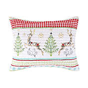 Levtex Home Merry &amp; Bright Comet &amp; Cupid Pillow Sham in Green