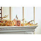 Alternate image 2 for Yankee Candle&reg; Spiced Pumpkin 20 oz. Large Jar Candle