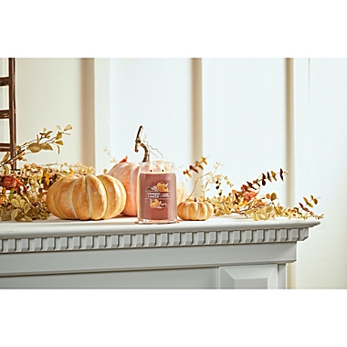 Yankee Candle&reg; Spiced Pumpkin 20 oz. Large Jar Candle. View a larger version of this product image.