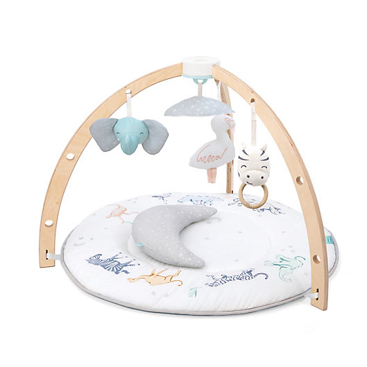 Alternate image 1 for aden + anais™ Play + Discover Baby Activity Gym in Grey