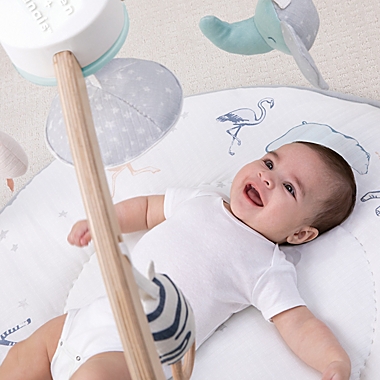 aden + anais&trade; Play + Discover Baby Activity Gym in Grey. View a larger version of this product image.