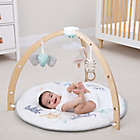 Alternate image 9 for aden + anais&trade; Play + Discover Baby Activity Gym in Grey