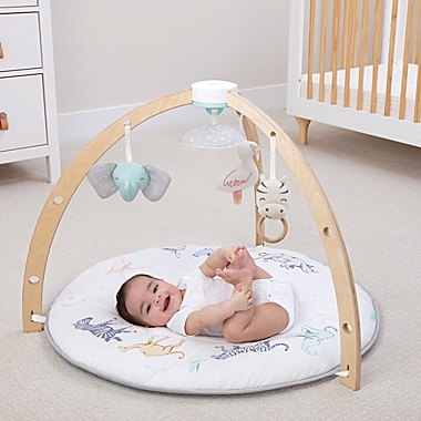 aden + anais&trade; Play + Discover Baby Activity Gym in Grey. View a larger version of this product image.