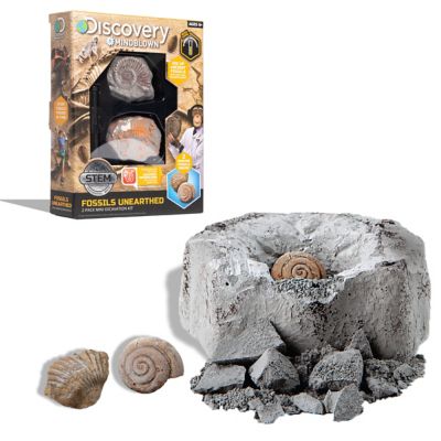 Fossil Excavation Mini Kit