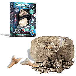 Discovery™ MINDBLOWN Mini Shark Tooth Toy Excavation Kit