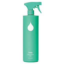 Safely™ 28 oz. Glass Cleaner in Rise