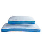 Alternate image 5 for Therapedic&reg; TruCool&reg; Serene Foam&reg; Medium Support Standard/Queen Pillow