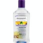 Alternate image 1 for Dickinson's&reg; Original Witch Hazel 16 fl. oz. Gentle Balancing Toner