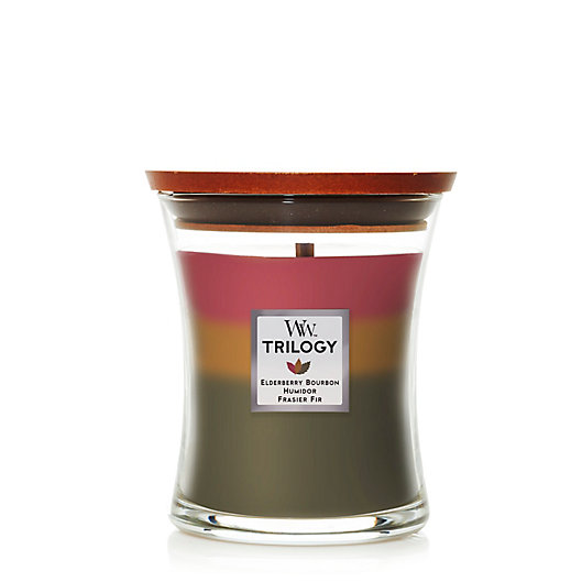 Alternate image 1 for WoodWick® Hearthside Holiday Trilogy Medium Jar Candle