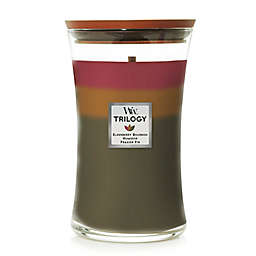 WoodWick&reg; Trilogy Collection Hearthside 21.5 oz. Large Hourglass Candle