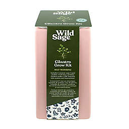 Wild Sage™ Self-Watering Hydroponic Cilantro Ceramic Pot Grow Kit in Pink