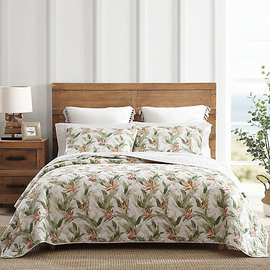 Alternate image 1 for Tommy Bahama® Hawaiian Royal King Quilt Set in Sage