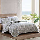 Alternate image 1 for Tommy Bahama&reg; Maui Palm Full/Queen Quilt Set in Sage Green