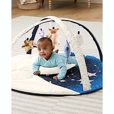 SKIP*HOP&reg; Celestial Dreams  Activity Gym. View a larger version of this product image.