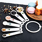 Alternate image 1 for Fox Run Brands&trade; 6-Piece Measuring Spoon Set
