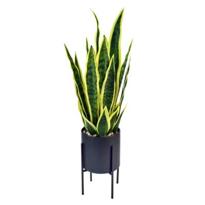 Studio 3B&trade; 25-Inch Artificial Sansevieria Plant in Black Planter with Stand