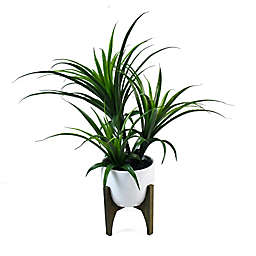 Wild Sage™ 25-Inch Artifical Dracena Plant in White Planter with Stand