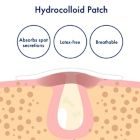 Alternate image 7 for PanOxyl&reg; 40-Count PM Overnight Spot Patches