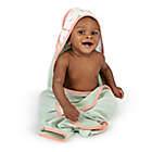 Alternate image 3 for Ingenuity&trade; Clean &amp; Cuddly 3-Pack Hooded Bath Towels in Edi