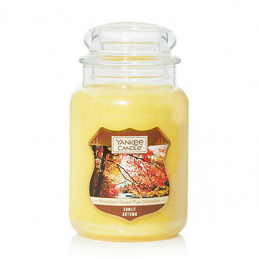 Alternate image 1 for Yankee Candle® Sunlit Autumn Original Large Jar Candle