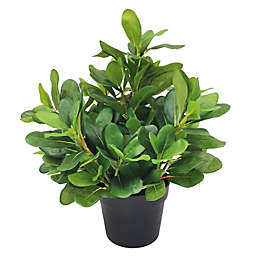 Simply Essential™ 18-Inch Faux Greenery Arrangement with Plastic Planter