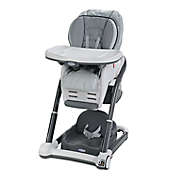 Graco&reg; Blossom&trade; 6-in-1 Convertible Highchair