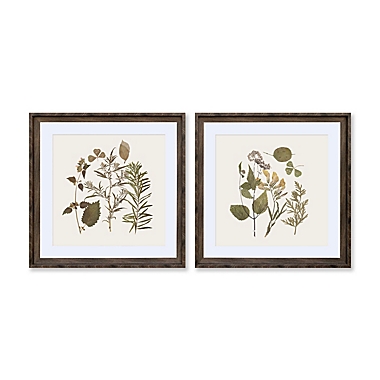 Bee &amp; Willow&trade; Floral Print 30-Inch Square Framed Wall Art in Natural (Set of 2). View a larger version of this product image.
