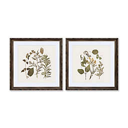 Bee & Willow™ Floral Print 30-Inch Square Framed Wall Art in Natural (Set of 2)