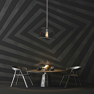 Cedar Hill 1-Light Metal Pendant Light With Shade in Black. View a larger version of this product image.