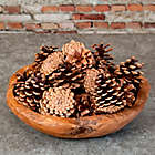 Alternate image 1 for Cinnamon Pinecone Potpourri in Brown