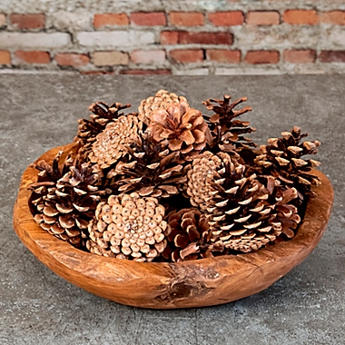 Cinnamon Pinecone Potpourri in Brown. View a larger version of this product image.