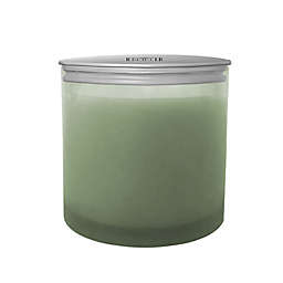 Everhome™ Bergamot & Basil 14 oz. 3-Wick Jar Candle with Lid in Green