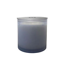 Everhome™ Sea Salt & Citrus 11 oz. Jar Candle with Lid in Light Blue