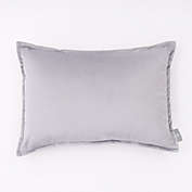 Freshmint Haven Velvet Lumbar Throw Pillow in Silver/Grey