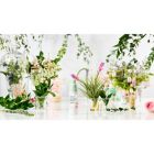 Alternate image 3 for Physicians Formula&reg; 1 oz. Organic Wear&reg; Mineral Primer