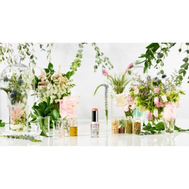 Physicians Formula&reg; 0.3 oz. Organic Wear&reg; Dewy Highlighter in Honey Dew. View a larger version of this product image.